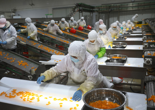 食品加工废水处理方案